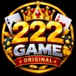 DK222 Game